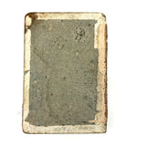 Mid 19th Century Glass Cased Forget Me Not with Silk Flowers (Flowers Untethered)