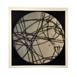 Striking C. 1940s  Century Micrograph of Algae Filaments, Signed Gene Gaines