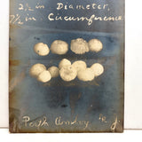Hail Stones, Perth Amboy, NJ, June 23, 1906, Perfectly Silvered Real Photo Postcard
