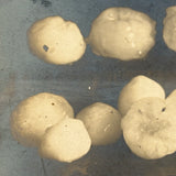 Hail Stones, Perth Amboy, NJ, June 23, 1906, Perfectly Silvered Real Photo Postcard