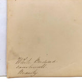 White Bordered Camberwell Beauty, 19th Century Ink and Watercolor Butterly