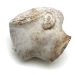 Soulful, Beautiful Marble Carved Woman's Head with Bun