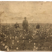 Cotton Pickers, Hugely Atmopheric Antique Real Photo Postcard