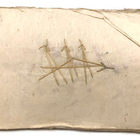 Charming 19th C. Japanese School Child's Semamori Embroidery Practice Booklet