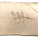 Charming 19th C. Japanese School Child's Semamori Embroidery Practice Booklet
