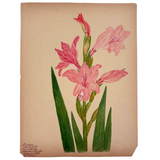 Watercolor of a Gladiola, From Nature, by Marian Marcelin, 1878