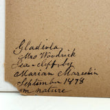 Watercolor of a Gladiola, From Nature, by Marian Marcelin, 1878