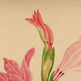 Watercolor of a Gladiola, From Nature, by Marian Marcelin, 1878