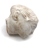 Soulful, Beautiful Marble Carved Woman's Head with Bun