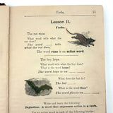 How to Talk (Or Primary Lessons in the English Language), 1882, With Excellent Endpapers and Energetic Hand-coloring