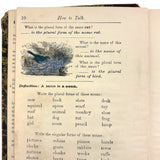 How to Talk (Or Primary Lessons in the English Language), 1882, With Excellent Endpapers and Energetic Hand-coloring