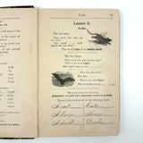 How to Talk (Or Primary Lessons in the English Language), 1882, With Excellent Endpapers and Energetic Hand-coloring