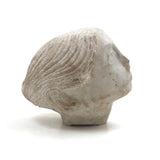 Soulful, Beautiful Marble Carved Woman's Head with Bun