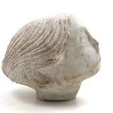 Soulful, Beautiful Marble Carved Woman's Head with Bun