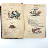 How to Talk (Or Primary Lessons in the English Language), 1882, With Excellent Endpapers and Energetic Hand-coloring
