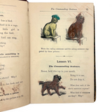 How to Talk (Or Primary Lessons in the English Language), 1882, With Excellent Endpapers and Energetic Hand-coloring
