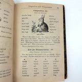 How to Talk (Or Primary Lessons in the English Language), 1882, With Excellent Endpapers and Energetic Hand-coloring