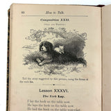 How to Talk (Or Primary Lessons in the English Language), 1882, With Excellent Endpapers and Energetic Hand-coloring