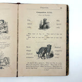 How to Talk (Or Primary Lessons in the English Language), 1882, With Excellent Endpapers and Energetic Hand-coloring