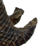 Ultra Empathetic Khond (Orissa, India) Bronze Animal, c. Early 20th Century