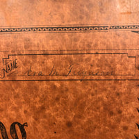 Eva Ferguson's Late 19th Century Drawing Book with Very Lovely and Precise Biology Drawings