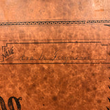 Eva Ferguson's Late 19th Century Drawing Book with Very Lovely and Precise Biology Drawings