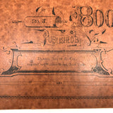 Eva Ferguson's Late 19th Century Drawing Book with Very Lovely and Precise Biology Drawings