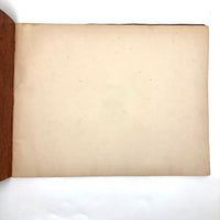 Eva Ferguson's Late 19th Century Drawing Book with Very Lovely and Precise Biology Drawings