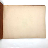 Eva Ferguson's Late 19th Century Drawing Book with Very Lovely and Precise Biology Drawings
