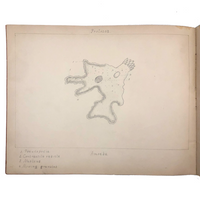 Eva Ferguson's Late 19th Century Drawing Book with Very Lovely and Precise Biology Drawings