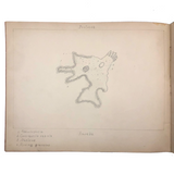 Eva Ferguson's Late 19th Century Drawing Book with Very Lovely and Precise Biology Drawings