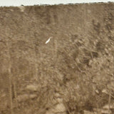On the Path, Forever Elusive, Liminal Feeling Antique Sepia Paper Print