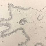 Eva Ferguson's Late 19th Century Drawing Book with Very Lovely and Precise Biology Drawings