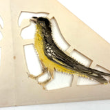 Two Birds, Four Birds, Earlier 20th Century Paper Cut with Watercolor and Ink