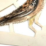 Two Birds, Four Birds, Earlier 20th Century Paper Cut with Watercolor and Ink