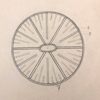 Eva Ferguson's Late 19th Century Drawing Book with Very Lovely and Precise Biology Drawings