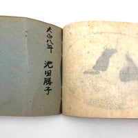 Taisho Period Japanese Manuscript with 58 Sumi Ink Landscapes