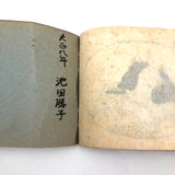 Taisho Period Japanese Manuscript with 58 Sumi Ink Landscapes