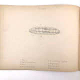 Eva Ferguson's Late 19th Century Drawing Book with Very Lovely and Precise Biology Drawings