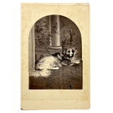 Unusual (and Very Painterly) Hybrid: 19th Century Albumen Cabinet Card Photo of Dog with Painted Backdrop