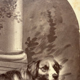 Unusual (and Very Painterly) Hybrid: 19th Century Albumen Cabinet Card Photo of Dog with Painted Backdrop