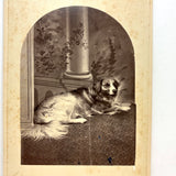 Unusual (and Very Painterly) Hybrid: 19th Century Albumen Cabinet Card Photo of Dog with Painted Backdrop
