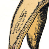 Scarce and Very Lovely Early 20th Century G. Eisenmenger Anatomical Paper Model of a Molar!