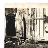 Young Man with Horse and Barn, Thurman, NY, Antique Snapshot