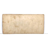 Double Dragonfly, Perfect Antique Homemade Stereoview