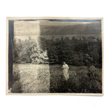 On the Dark Side of the  Meadow, Evocative Earlyish 20th Century Snapshot