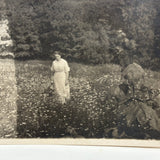 On the Dark Side of the  Meadow, Evocative Earlyish 20th Century Snapshot