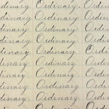 Valentine, Vermilion, Yearning, Yawning--John Brenneman's Very Nice 1874 Penmanship Notebook