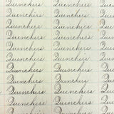 Valentine, Vermilion, Yearning, Yawning--John Brenneman's Very Nice 1874 Penmanship Notebook