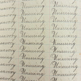Valentine, Vermilion, Yearning, Yawning--John Brenneman's Very Nice 1874 Penmanship Notebook